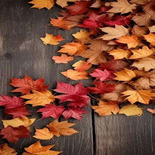fall wallpaper for iphone