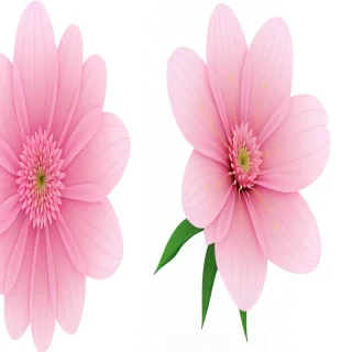 pink flower transparent background