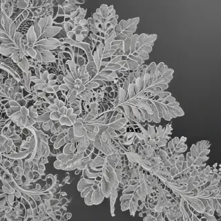 transparent lace png