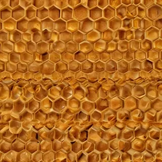 honeycomb png