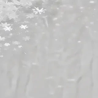 snow transparent background