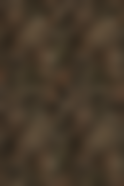 Abstract Pattern of Earthy Tones with Swirling Textures and Depth.