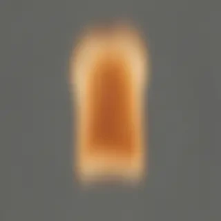 toast png