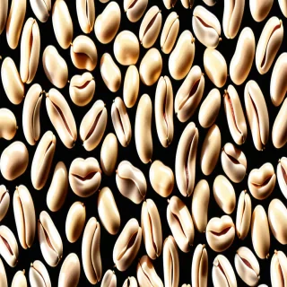 bean png