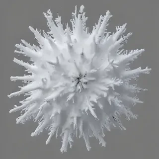 snow pngs