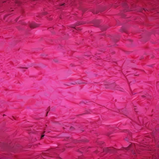 neon pink wallpaper