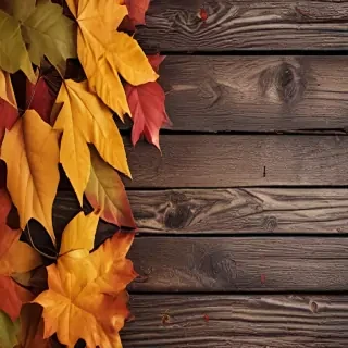 iphone backgrounds fall