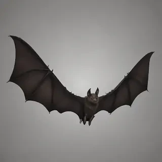 bat wings png