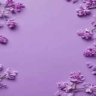 lilac background