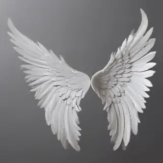 angel wings transparent background