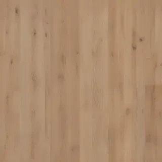 background floor
