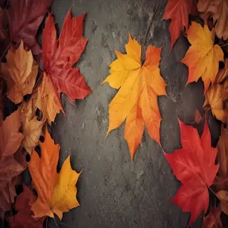 autumn leaves iphone wallpaper