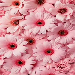 flower aesthetic wallpaper