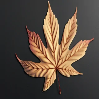 fall leaf png