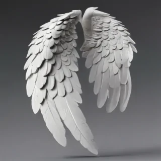 angel wings png