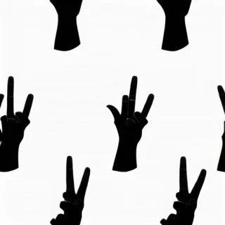 middle finger transparent