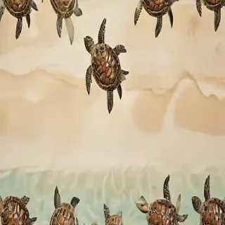 turtle background