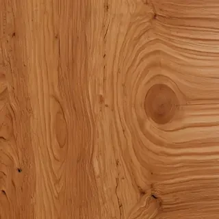 wood grain