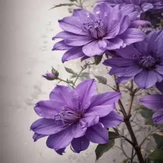 purple flowers drawing