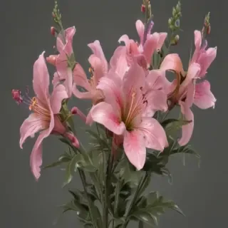 aesthetic flower png
