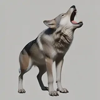 wolf howl png
