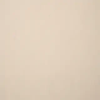 ivory background