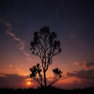 dark wallpaper android