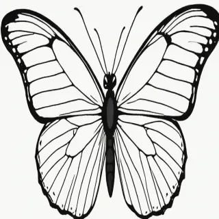 black butterfly outline