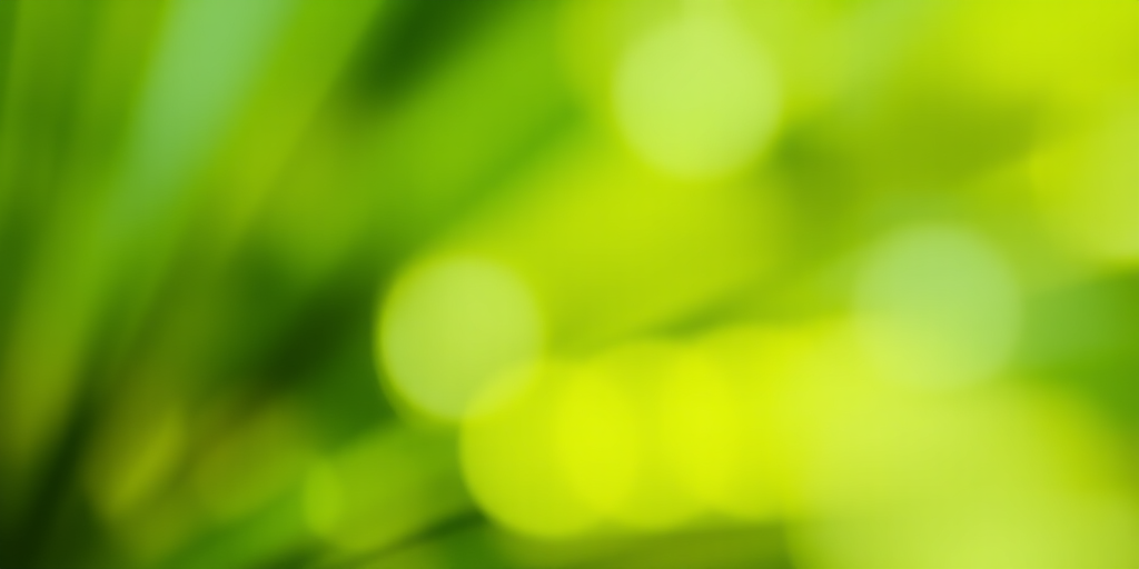 Create a soft-focus abstract background with flowing green tones, captured using a DSLR camera, 50mm lens, aperture set to f/1.8, shutter speed 1/125s, ISO 100, in natural light, with a shallow depth of field.