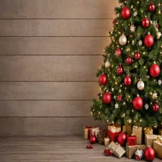 images for christmas background