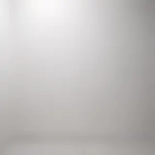 background white wall