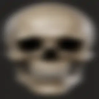 skull face png