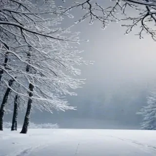 january background