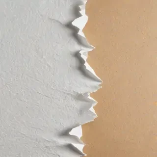 torn paper transparent