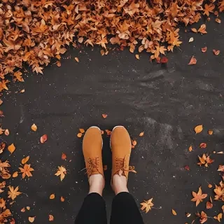 fall wallpaper iphone aesthetic