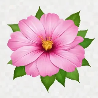 flower clipart transparent background
