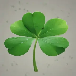 4 leaf clover png