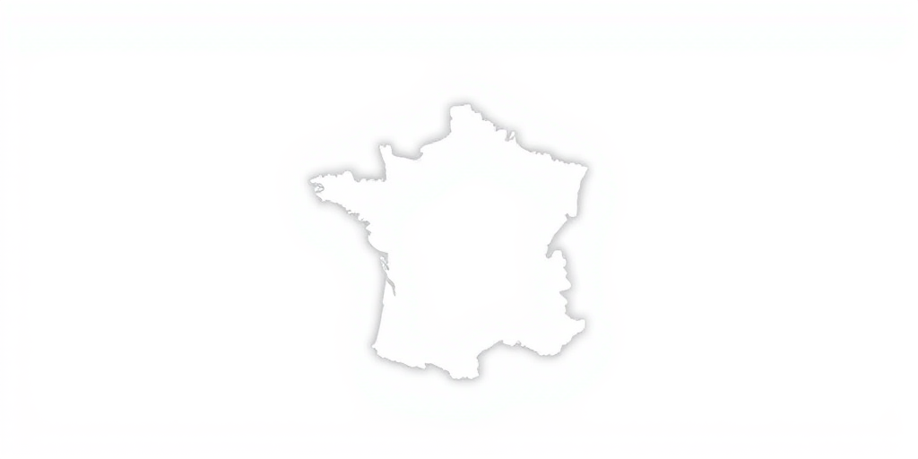 Generate a high-resolution outline of France with sharp edges, using a Canon EOS R5 camera, 50mm lens, f/8 aperture, ISO 100, and a top-down view, in a minimalist style for enhanced clarity.