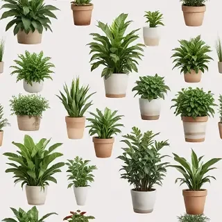 potted plants png