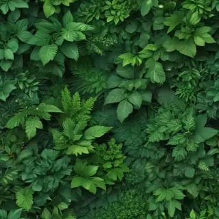 green backgrounds aesthetic
