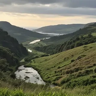 barbado da terceira