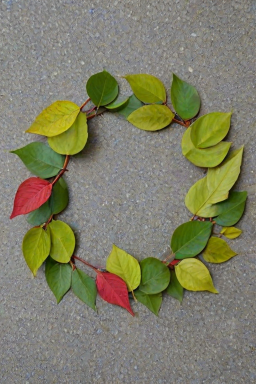 circle with leaves