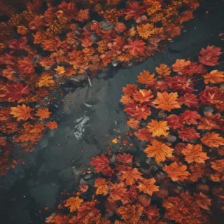 iphone backgrounds fall