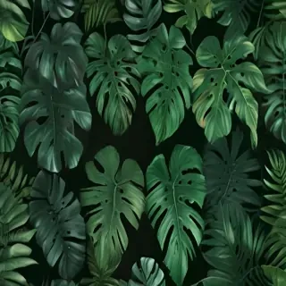 green background wallpaper aesthetic
