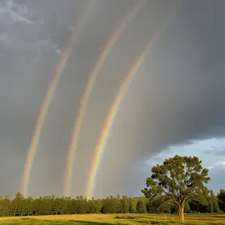 double rainbow