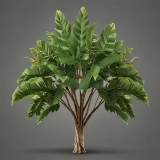 plant png clipart