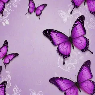 purple butterflies wallpaper