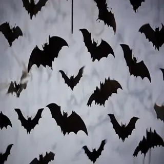 pictures of bats for halloween