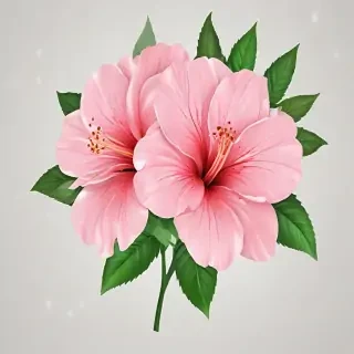 flower clip art transparent
