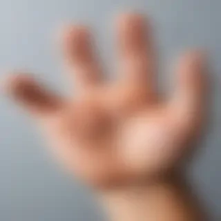 paw png